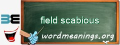 WordMeaning blackboard for field scabious